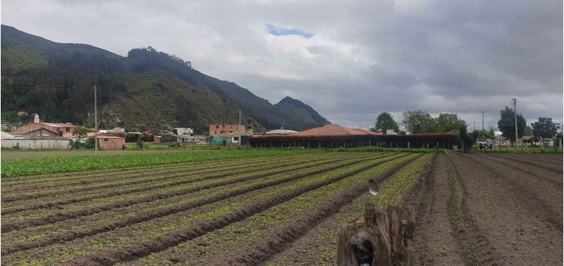Lote en Venta en Cota, Cota-4