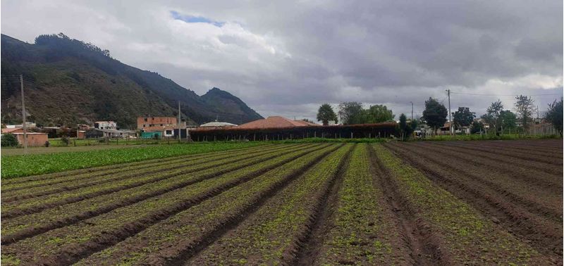 Lote en Venta en Cota, Cota-6