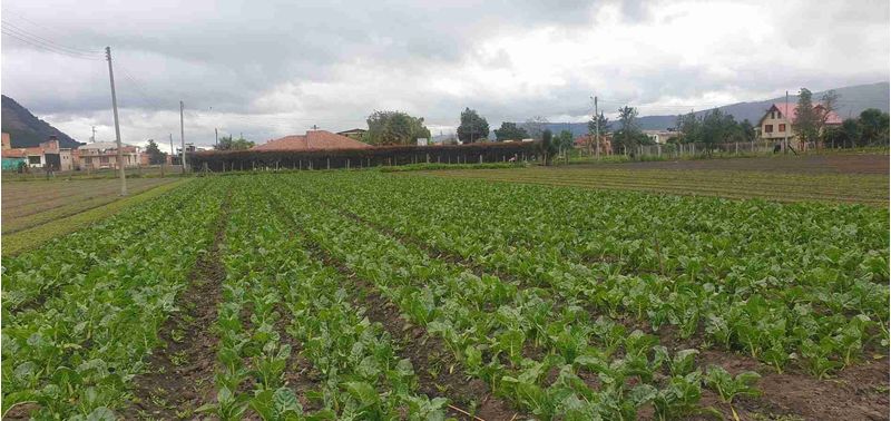 Lote en Venta en Cota, Cota-7