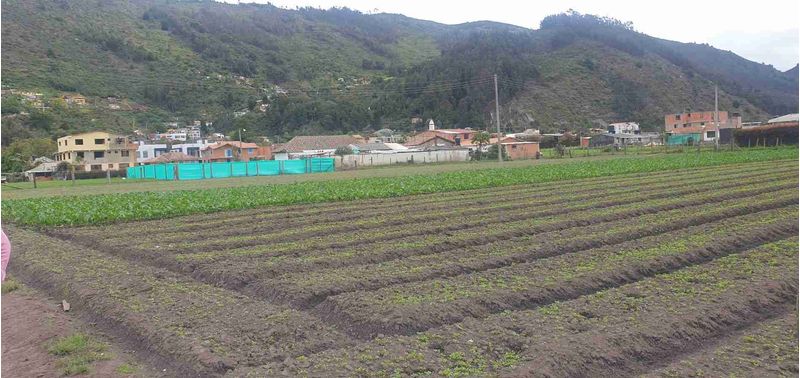 Lote en Venta en Cota, Cota-9