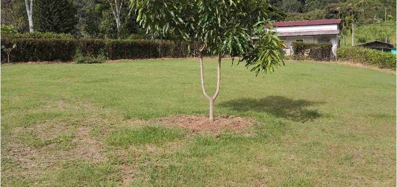 Lote en Venta en Ciudad Bolívar, Ciudad Bolívar-0