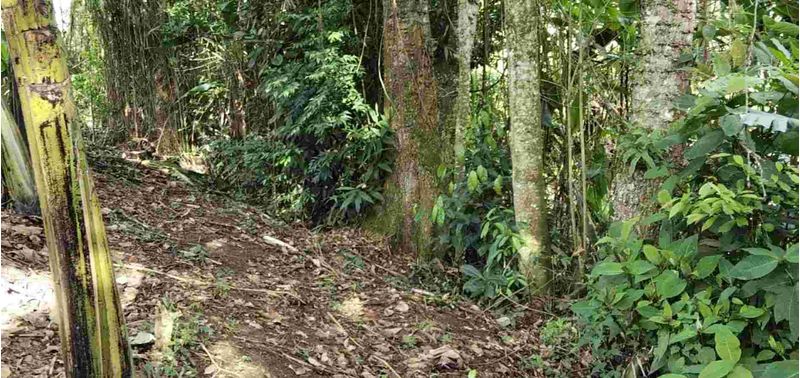 Lote en Venta en Ciudad Bolívar, Ciudad Bolívar-5