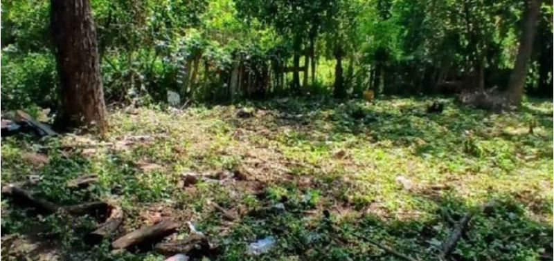 Lote en Venta en Santa Fé De Antioquia, Santa Fe Antioquia