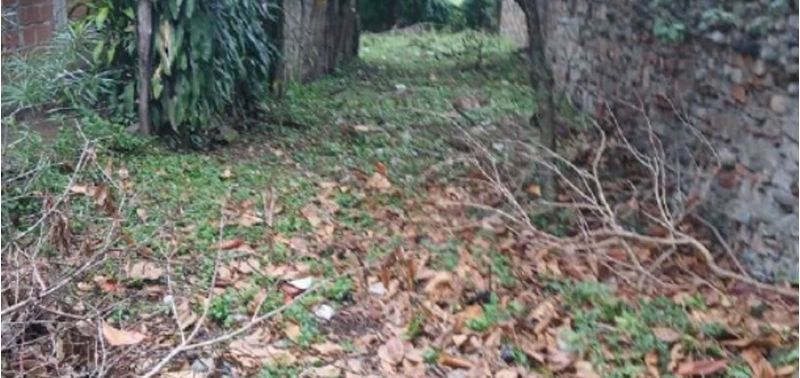Lote en Venta en Santa Fé De Antioquia, Santa Fe Antioquia-3