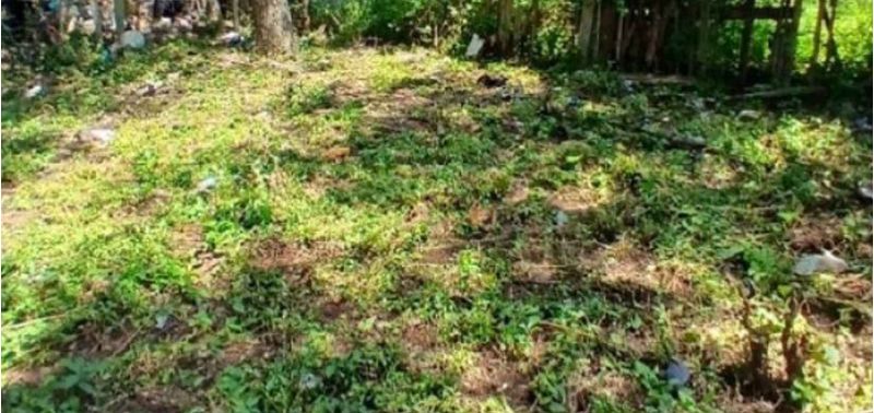 Lote en Venta en Santa Fé De Antioquia, Santa Fe Antioquia-4