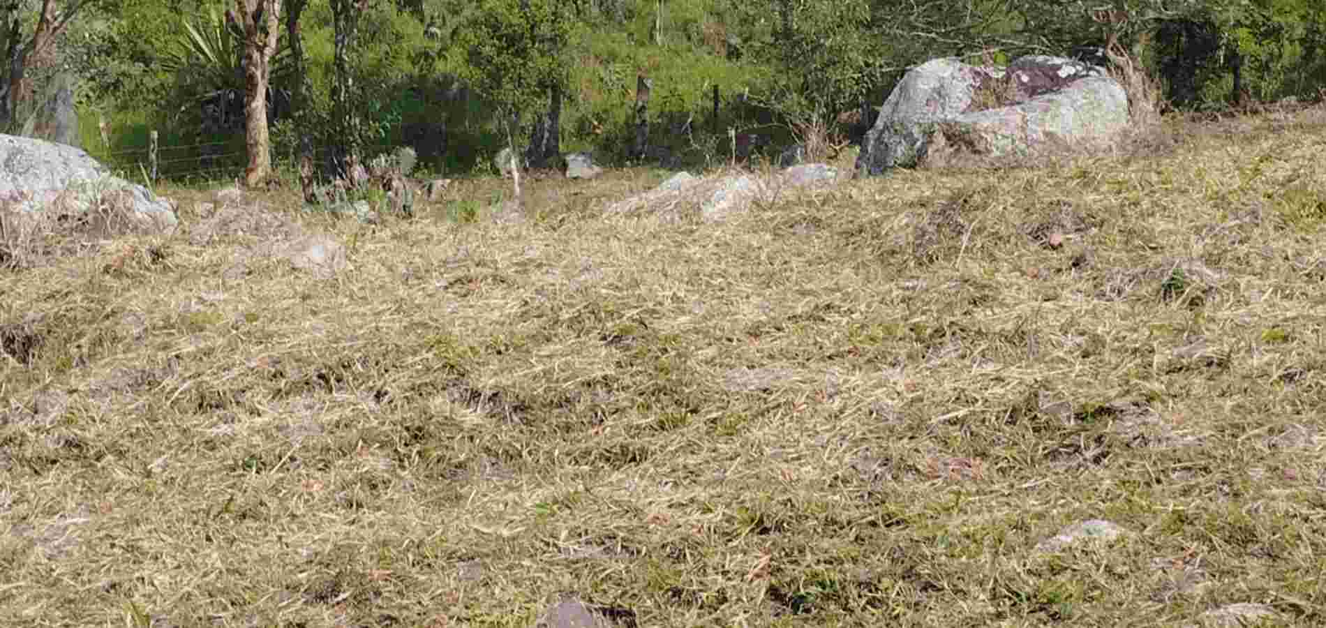 Lote en Venta en Tibacuy, Tibacuy-0