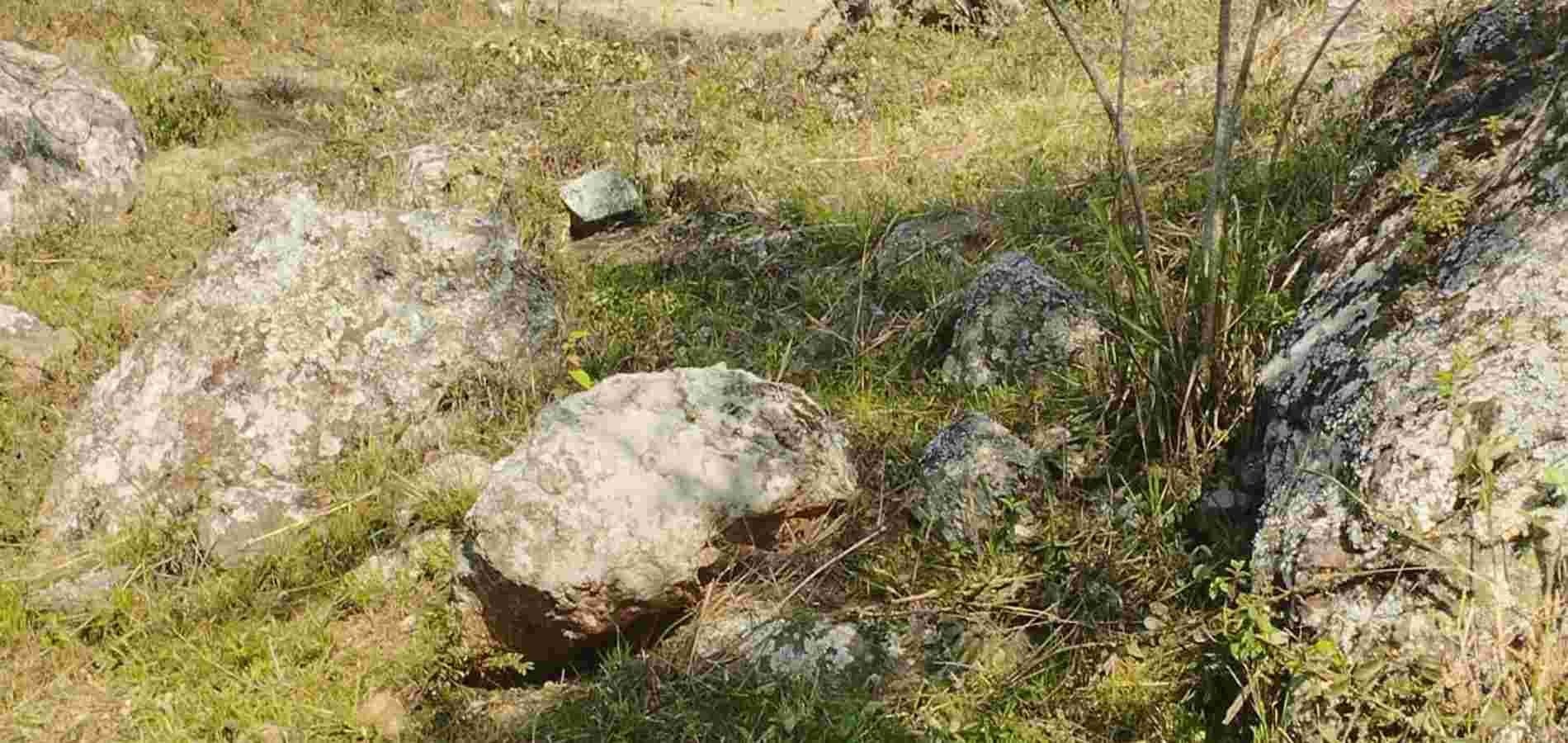 Lote en Venta en Tibacuy, Tibacuy-1