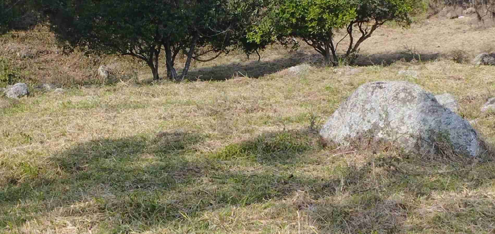 Lote en Venta en Tibacuy, Tibacuy-2