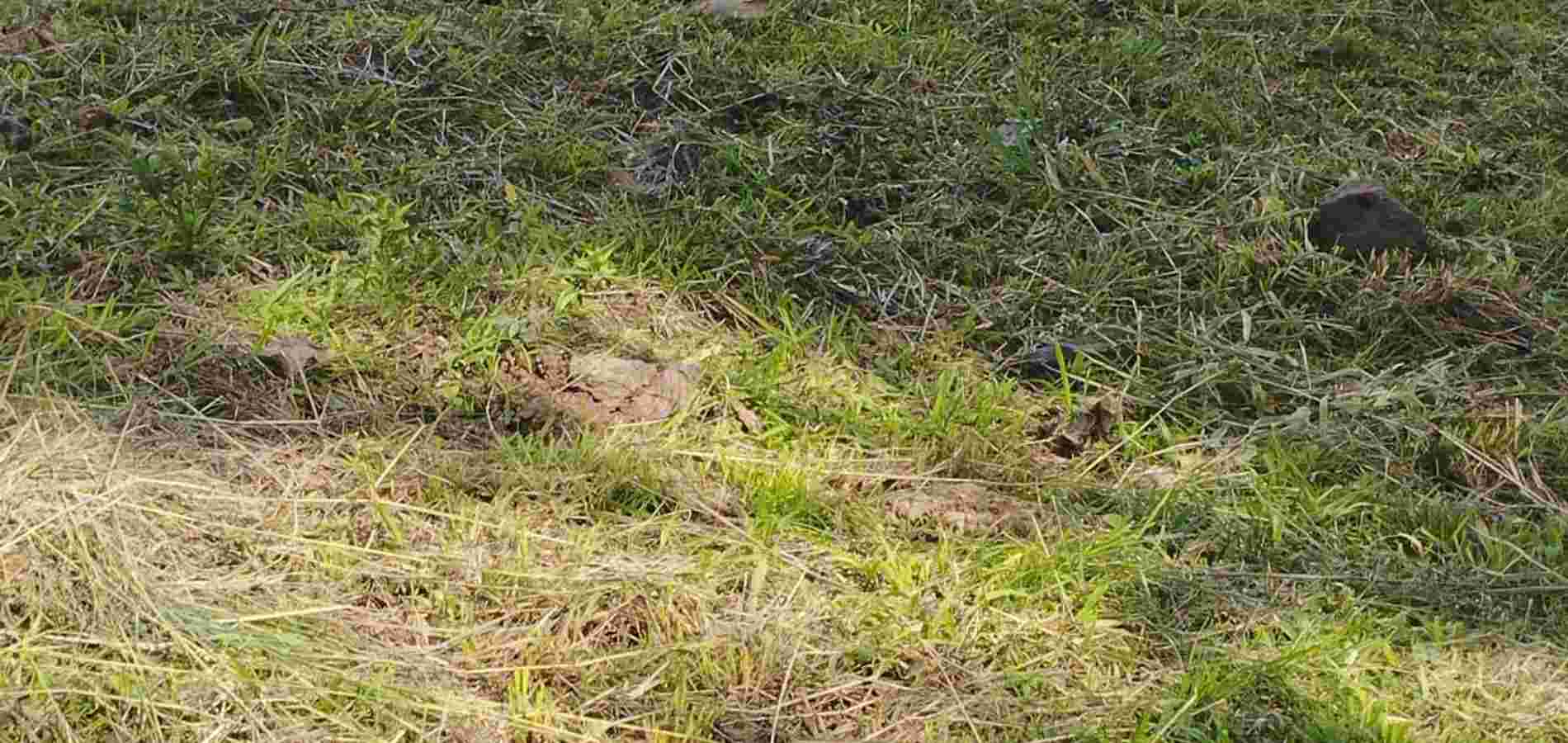 Lote en Venta en Tibacuy, Tibacuy-3