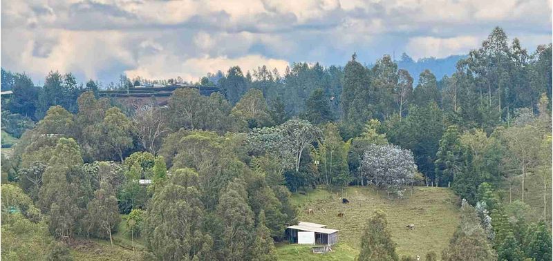 Lote en Venta en Retiro, Pantanillo-4