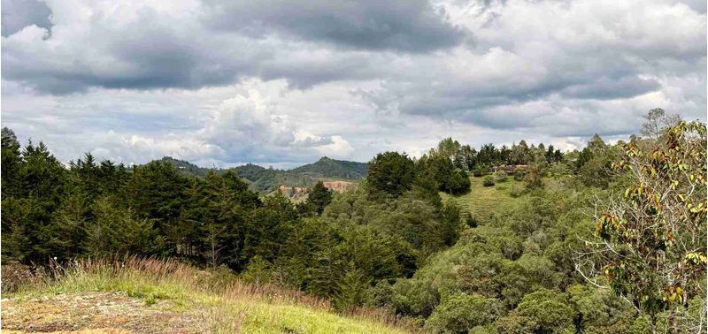 Lote en Venta en Retiro, Pantanillo-15