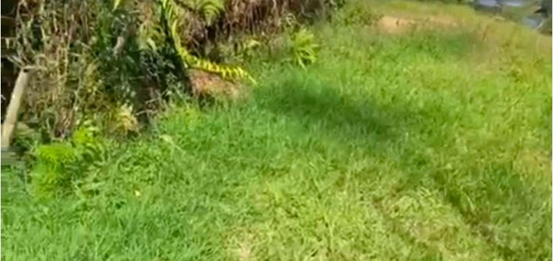 Lote en Venta en Peñol, Peñol-6