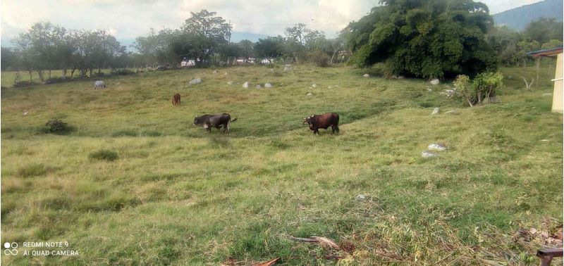 Lote en Venta en Bogotá, D.C., Fusagasugá-11