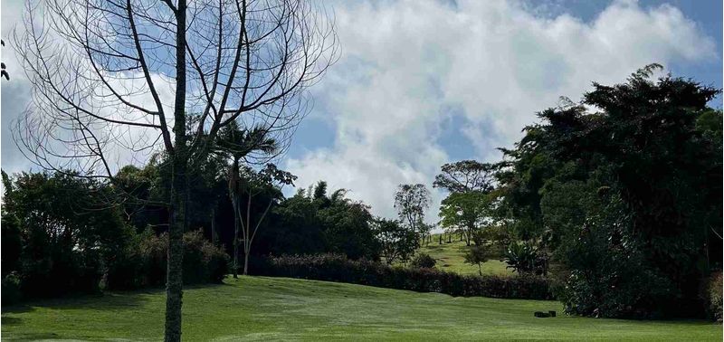 Lote en Venta en Rionegro, Rionegro-6
