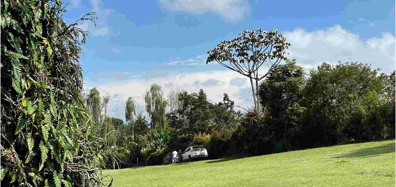 Lote en Venta en Rionegro, Rionegro-10
