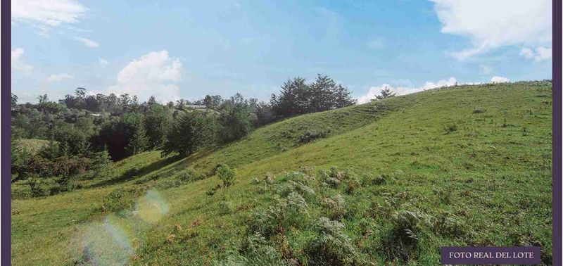 Lote en Venta en El Carmen De Viboral, El Carmen de Viboral-3