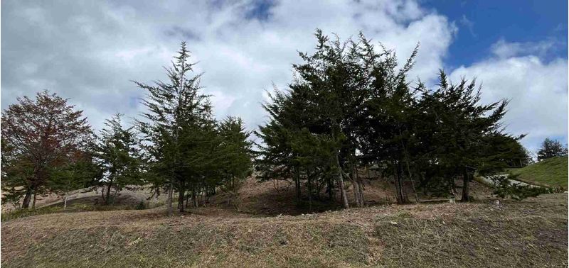 Lote en Venta en El Carmen De Viboral, El Carmen de Viboral-8