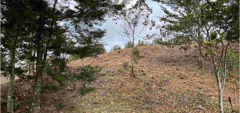 Lote en Venta en El Carmen De Viboral, El Carmen de Viboral-11