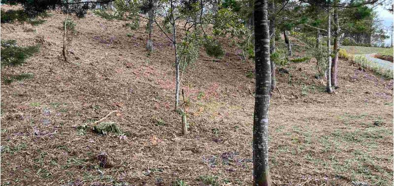 Lote en Venta en El Carmen De Viboral, El Carmen de Viboral-12