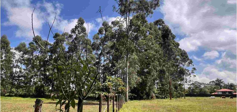 Lote en Venta en Rionegro, Rionegro-0