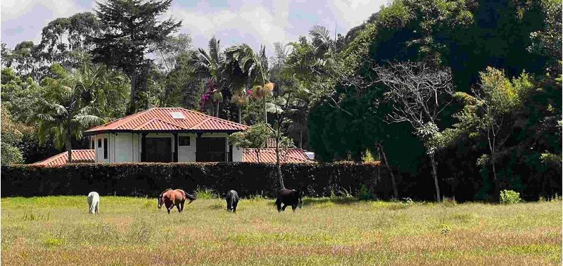 Lote en Venta en Rionegro, Rionegro-1