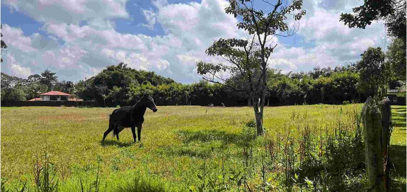 Lote en Venta en Rionegro, Rionegro-4
