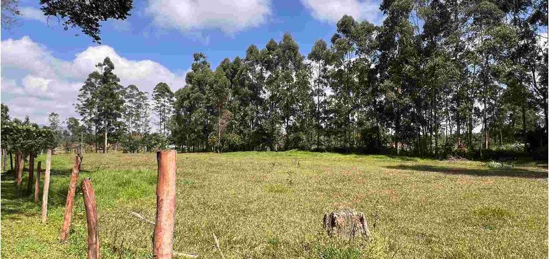 Lote en Venta en Rionegro, Rionegro-6