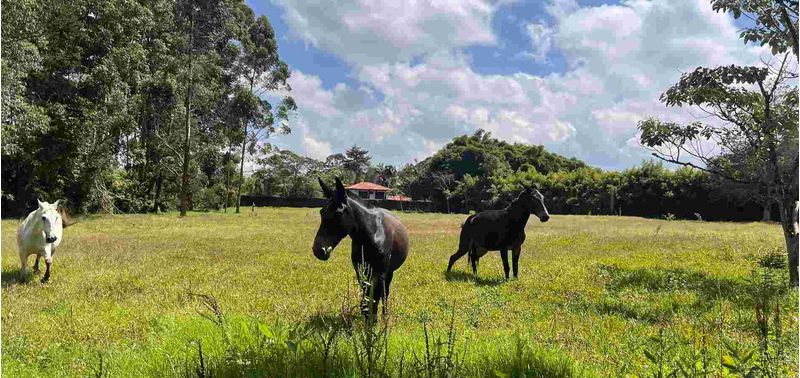 Lote en Venta en Rionegro, Rionegro-7