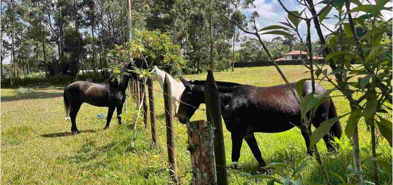 Lote en Venta en Rionegro, Rionegro-8