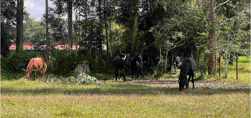 Lote en Venta en Rionegro, Rionegro-9