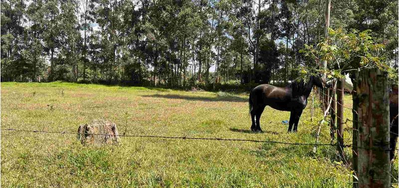 Lote en Venta en Rionegro, Rionegro-10