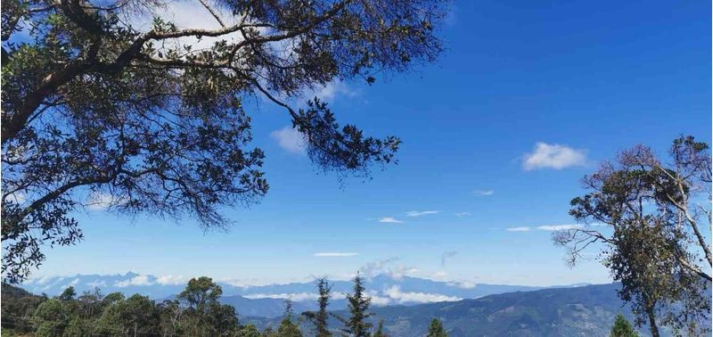 Lote en Venta en Medellín, San Martín-2