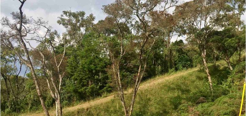Lote en Venta en Medellín, San Martín-6