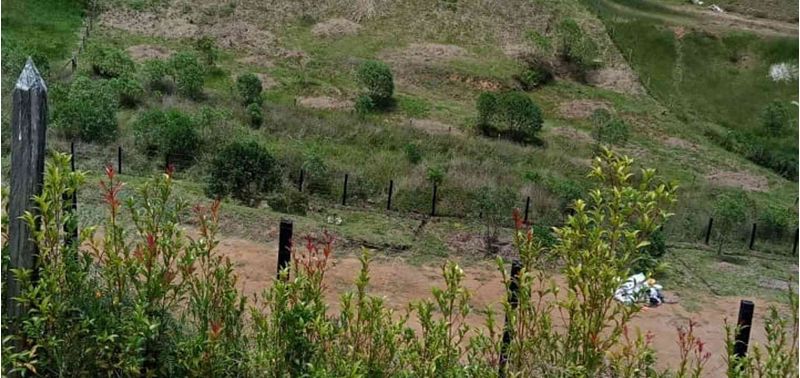 Lote en Venta en San Vicente Ferrer, San Vicente-1