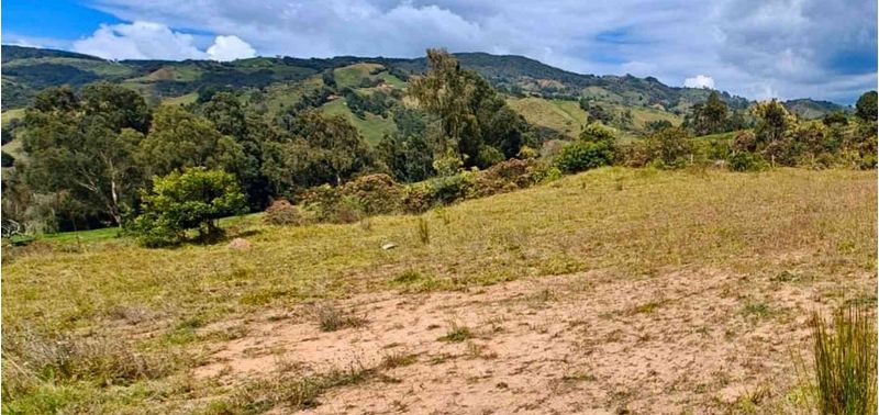 Lote en Venta en Belmira, Belmira-1