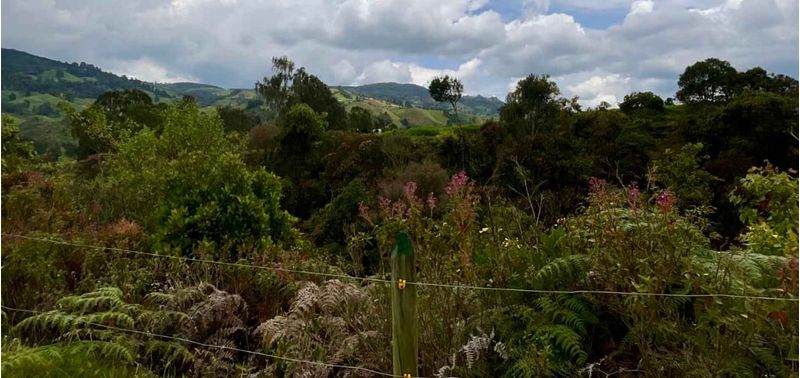 Lote en Venta en Belmira, Belmira-2
