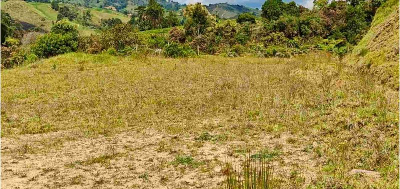 Lote en Venta en Belmira, Belmira-3