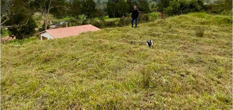 Lote en Venta en Belmira, Belmira-7