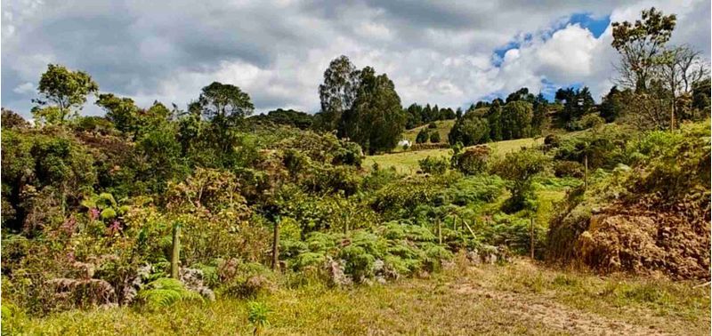 Lote en Venta en Belmira, Belmira-8