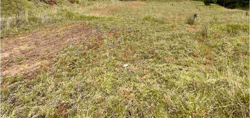 Lote en Venta en Belmira, Belmira-11