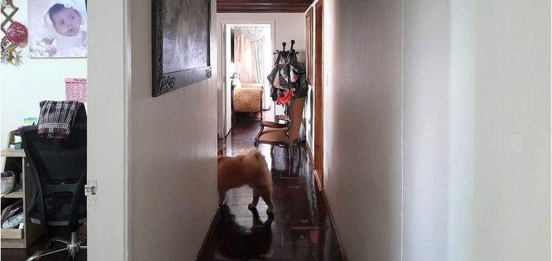Apartamento en Venta en Medellín, Candelaria-3