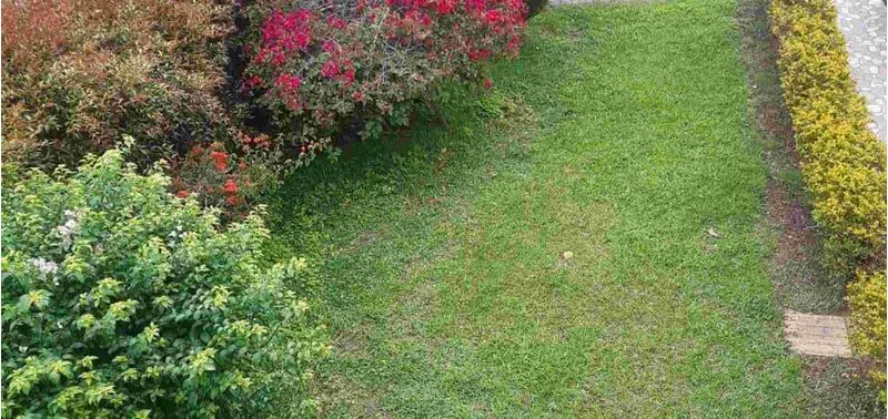 Casa en Venta en El Carmen De Viboral, Las Margaritas-15
