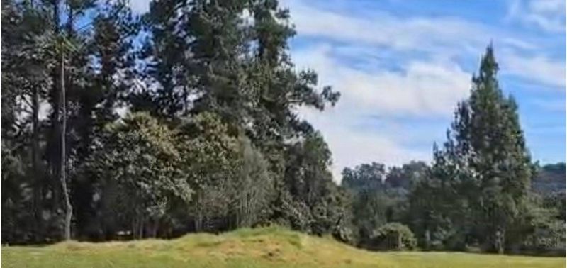 Lote en Venta en Envigado, Envigado-0