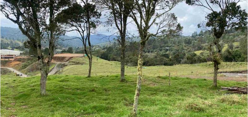 Lote en Venta en Medellín, Alejandría