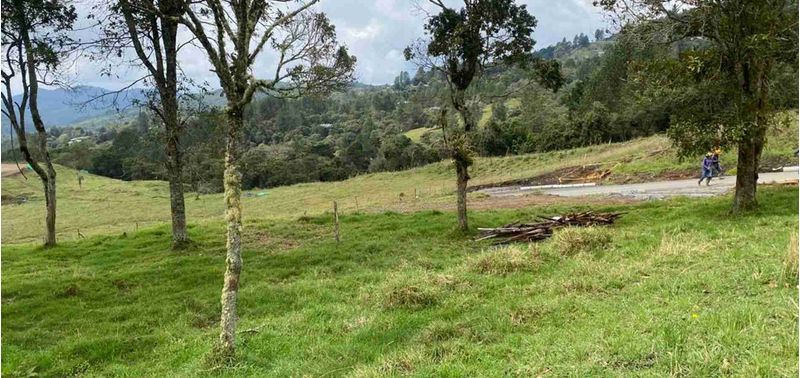 Lote en Venta en Medellín, Alejandría-1