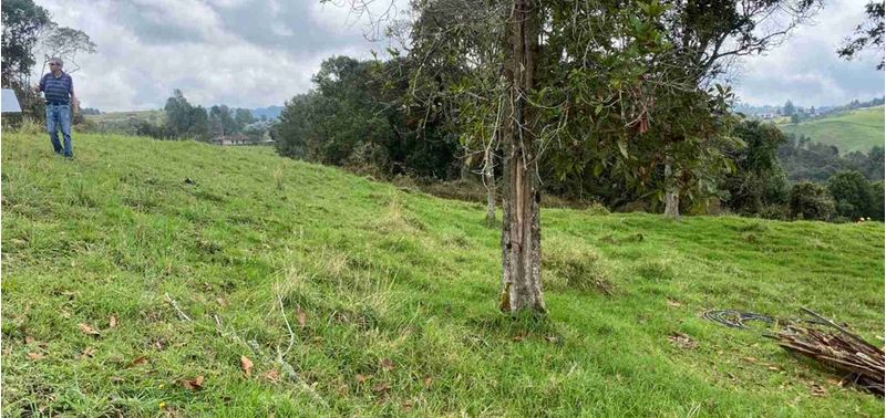 Lote en Venta en Medellín, Alejandría-4