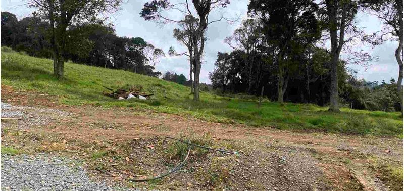 Lote en Venta en Medellín, Alejandría-5