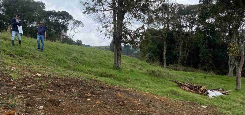 Lote en Venta en Medellín, Alejandría-9