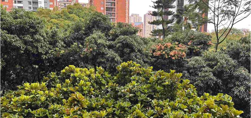 Apartamento en Venta en Medellín, El Poblado-13