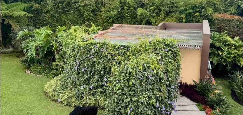 Casa en Venta en Rionegro, Rionegro-21